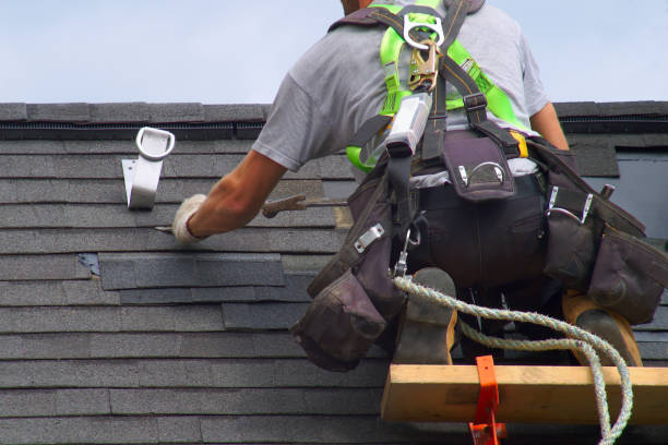 Best Gutter Installation and Roofing  in Willacoochee, GA