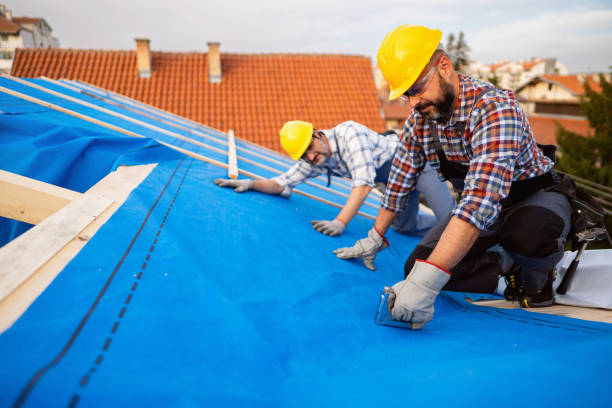 Roof Installation Near Me in Willacoochee, GA