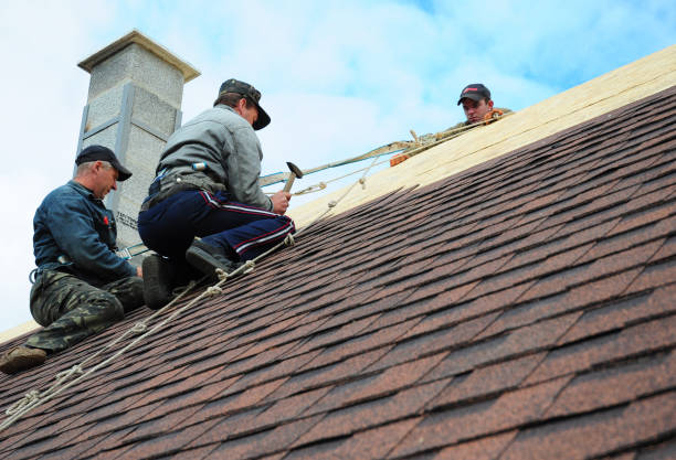 Best Roof Maintenance Services  in Willacoochee, GA