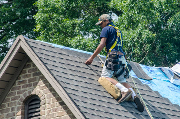 Best Roof Repair Specialists  in Willacoochee, GA